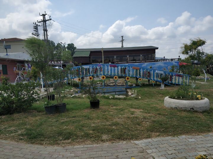 Fotoğraf 61