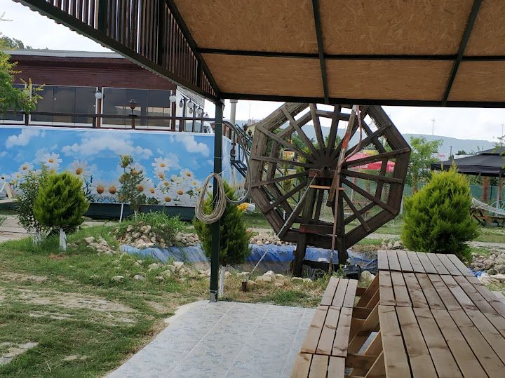 Fotoğraf 62