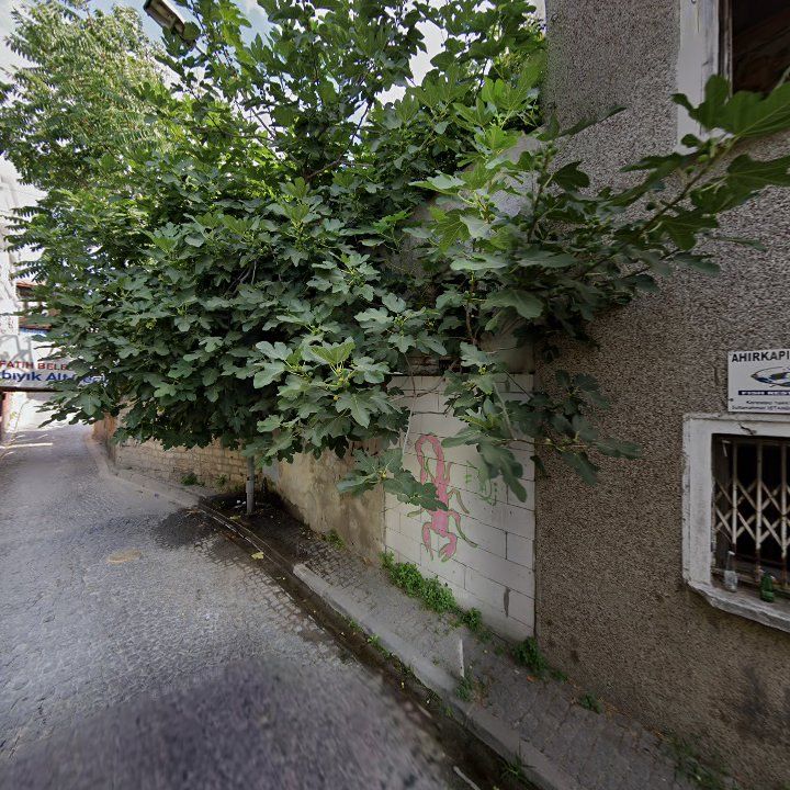 Fotoğraf 10