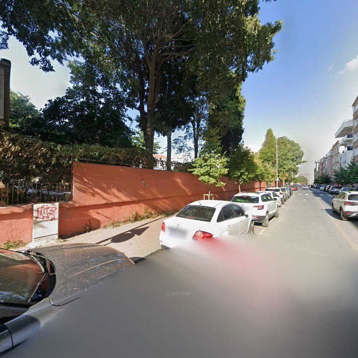 Fotoğraf 11