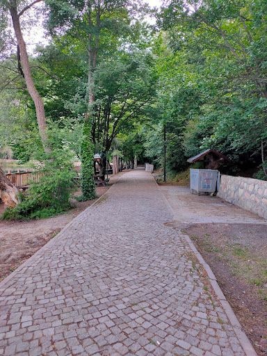 Yorum fotoğrafı 4