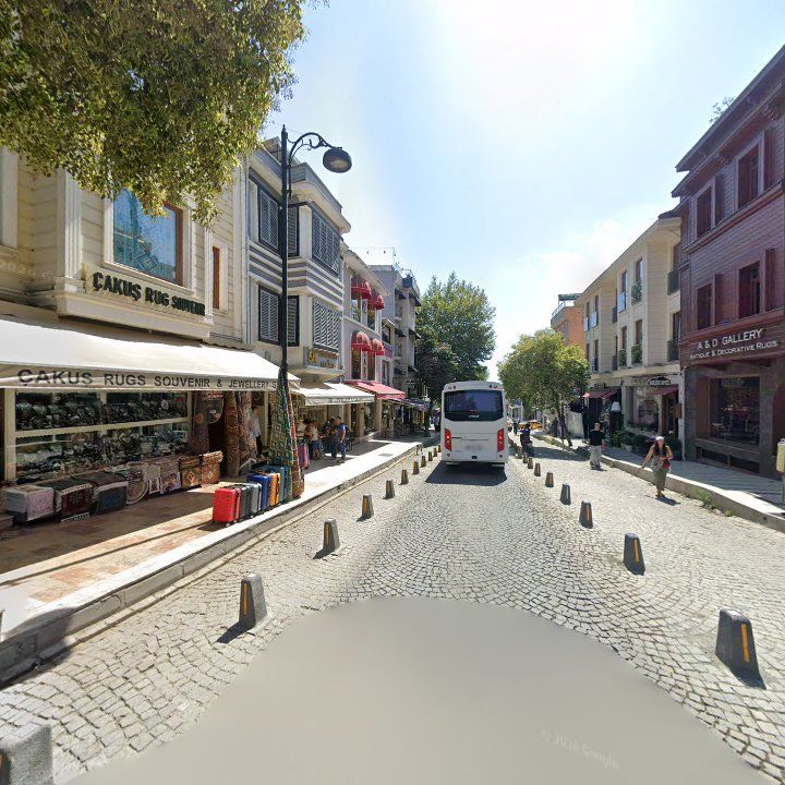 Fotoğraf 11