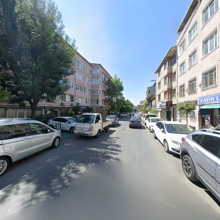 Fotoğraf 13