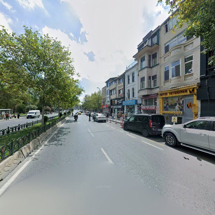 Fotoğraf 9