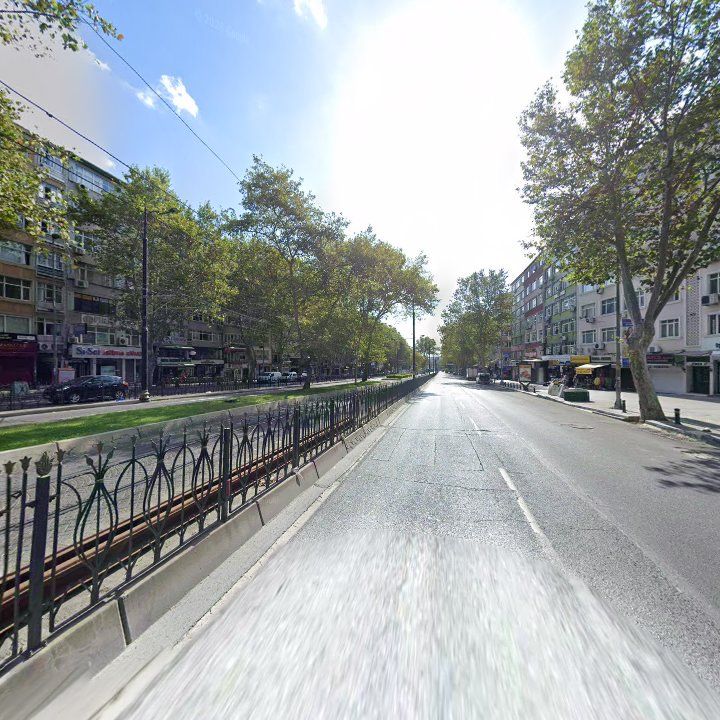 Fotoğraf 11