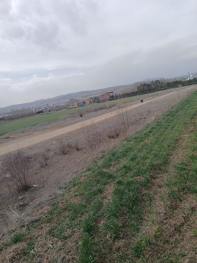 Yorum fotoğrafı 5