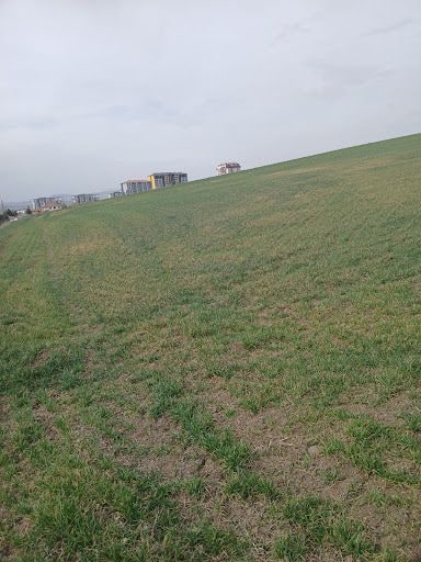 Yorum fotoğrafı 6