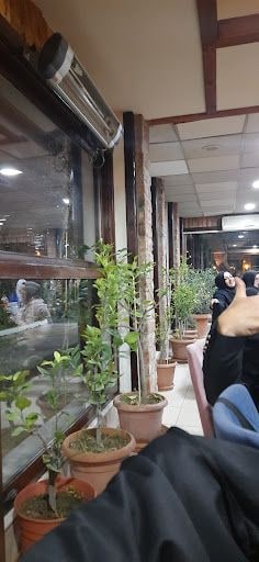 Yorum fotoğrafı 7
