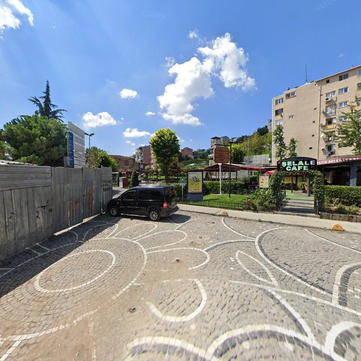 Fotoğraf 11