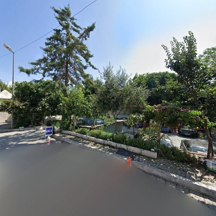 Fotoğraf 15