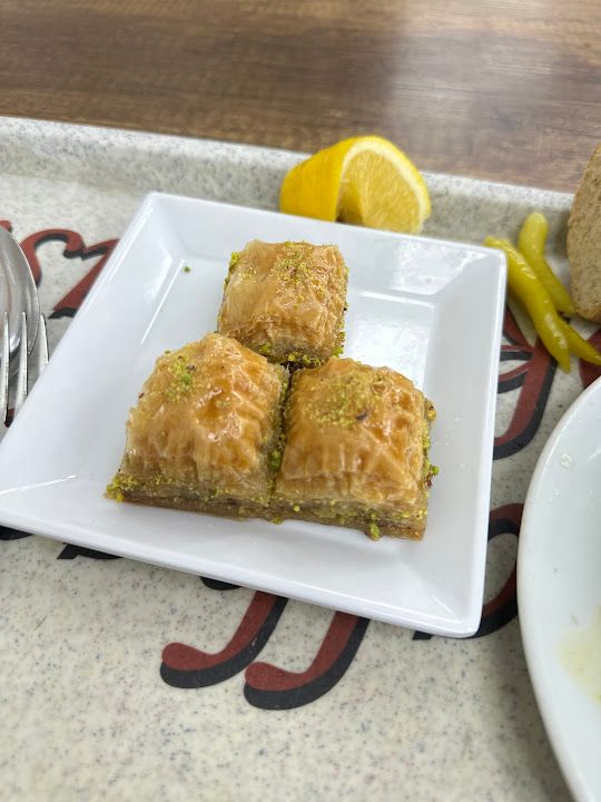 Fotoğraf 8