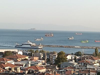 Fotoğraf 7