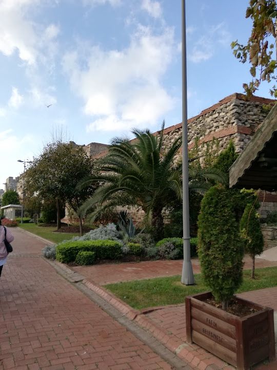 Fotoğraf 16