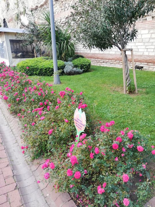 Fotoğraf 15