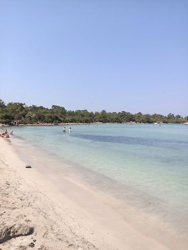 Fotoğraf 33
