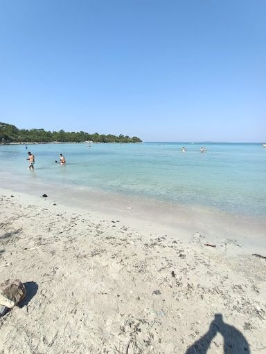 Fotoğraf 35