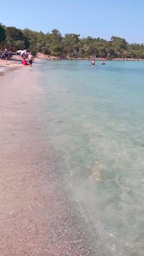 Fotoğraf 36