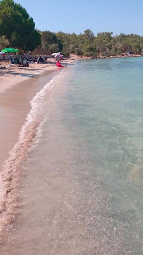 Fotoğraf 37