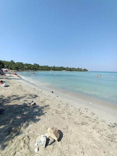Fotoğraf 38