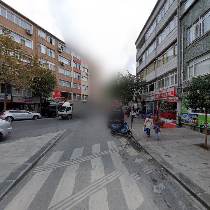 Fotoğraf 12