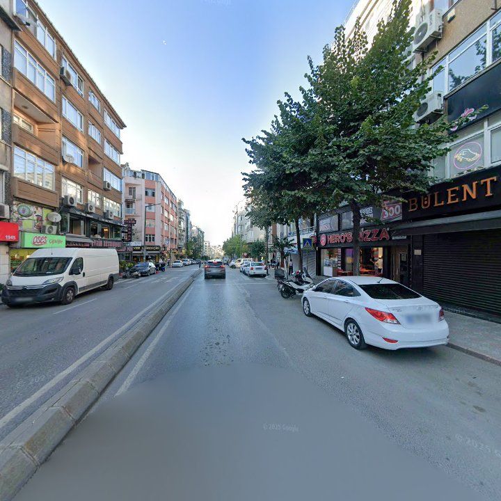 Fotoğraf 10