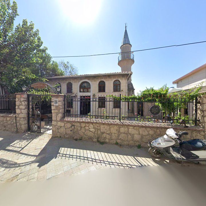 Fotoğraf 9