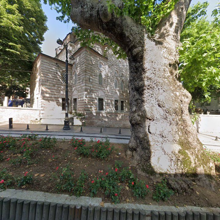 Fotoğraf 11