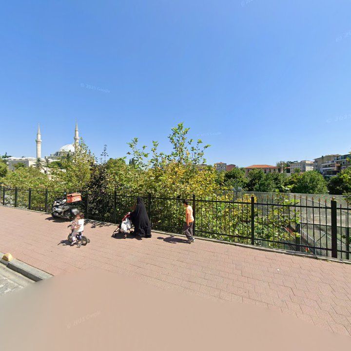 Fotoğraf 8