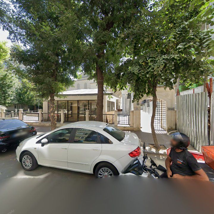 Fotoğraf 16