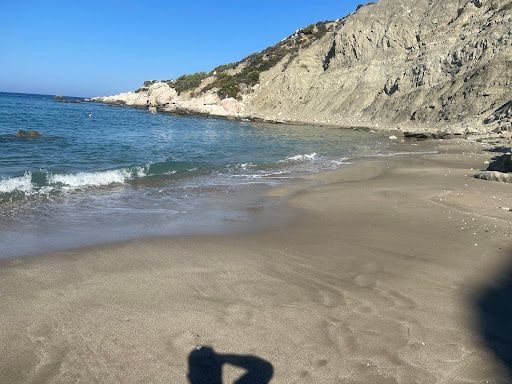 Yorum fotoğrafı 3