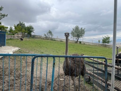 Yorum fotoğrafı 4