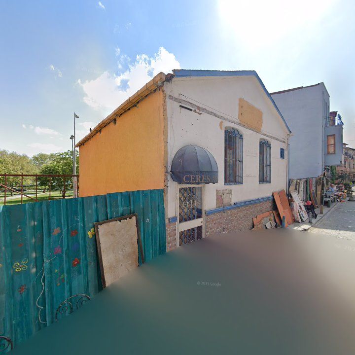 Fotoğraf 12