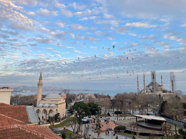 Fotoğraf 8