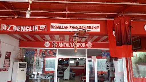 Fotoğraf 13