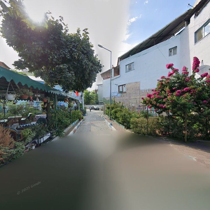Fotoğraf 12