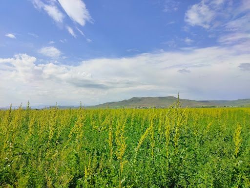 Yorum fotoğrafı 6