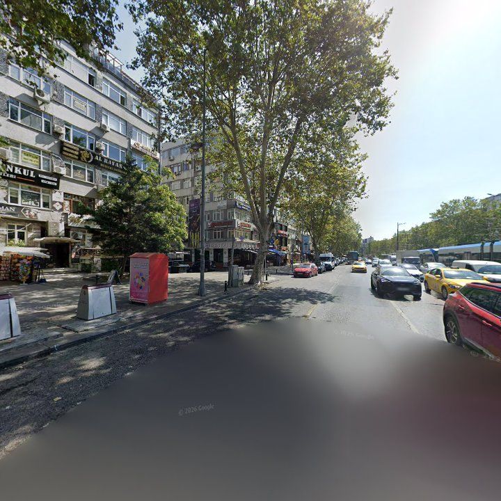 Fotoğraf 13