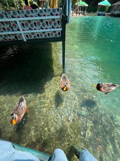 Yorum fotoğrafı 5