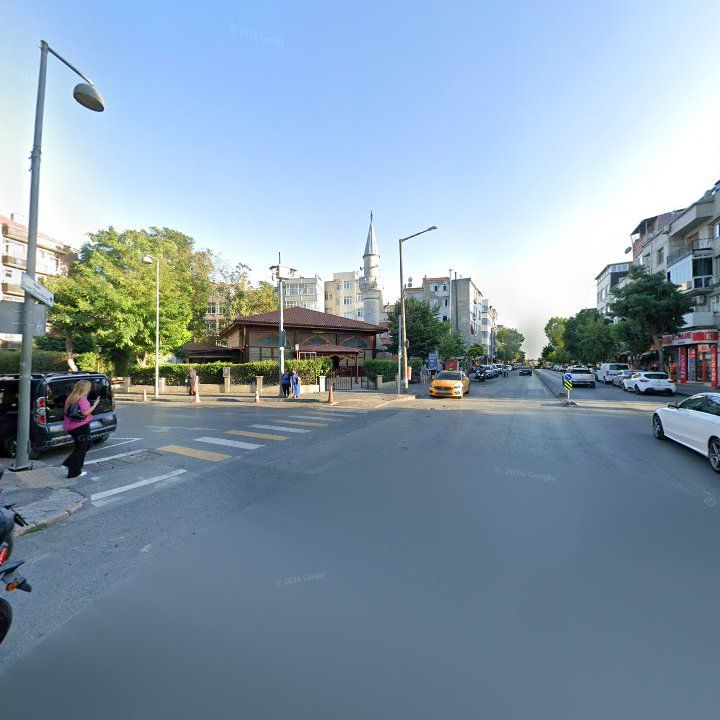 Fotoğraf 8