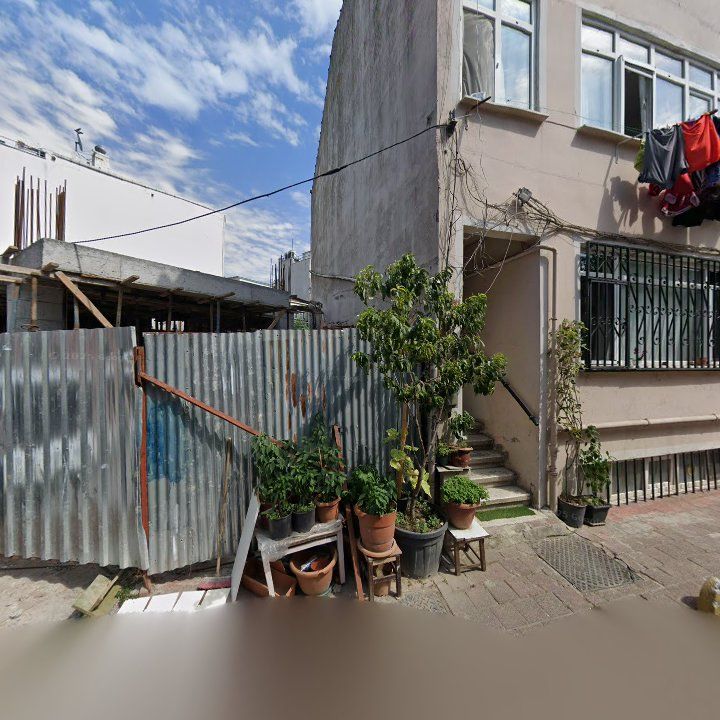 Fotoğraf 11