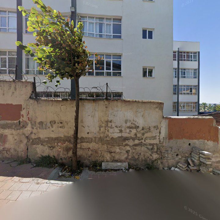 Fotoğraf 10