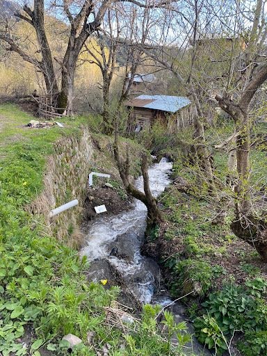 Fotoğraf 12
