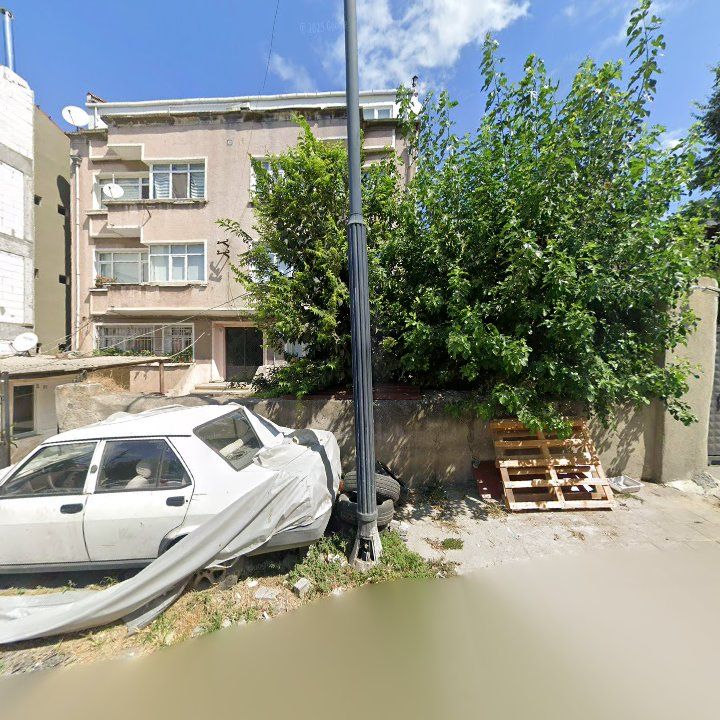 Fotoğraf 11