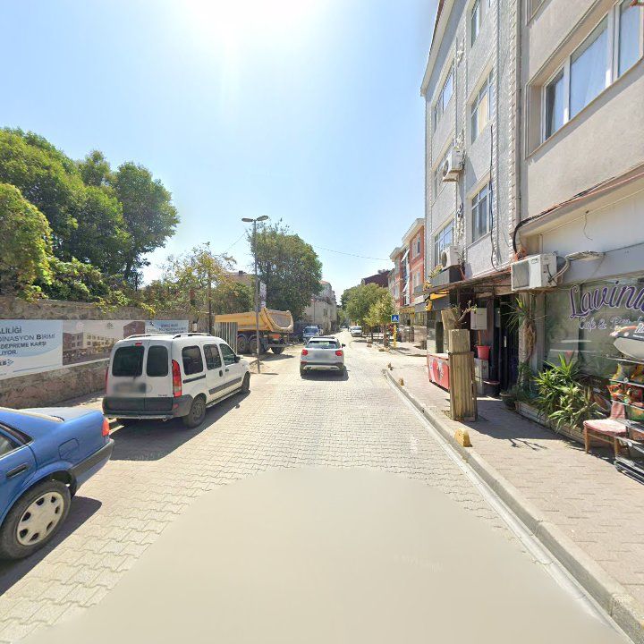 Fotoğraf 8