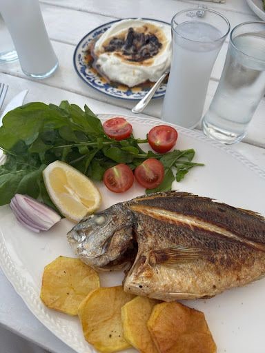 Yorum fotoğrafı 3
