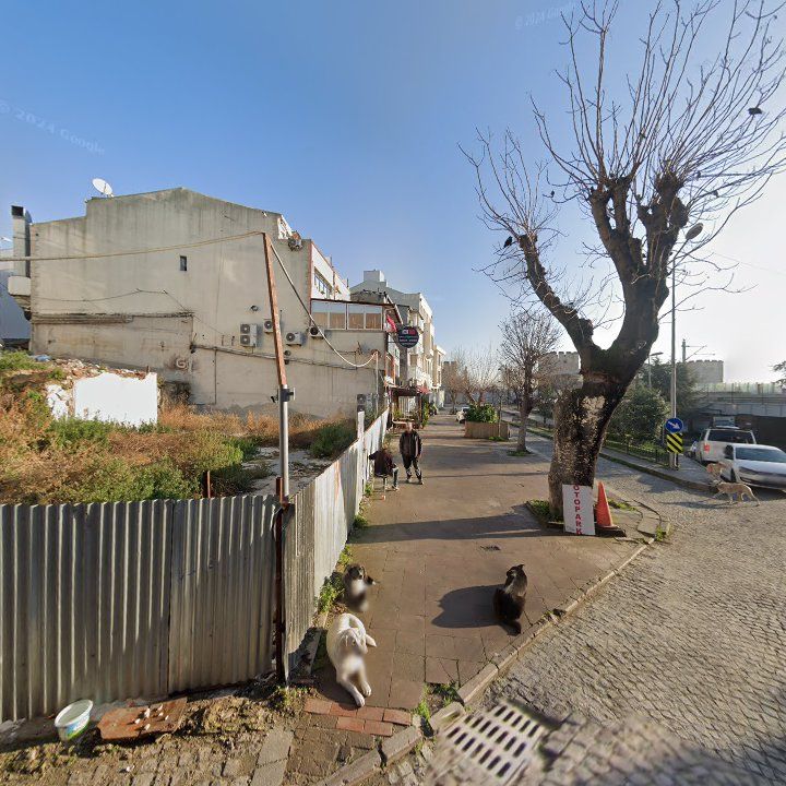 Fotoğraf 11