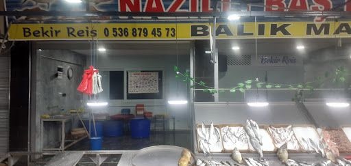 Fotoğraf 13