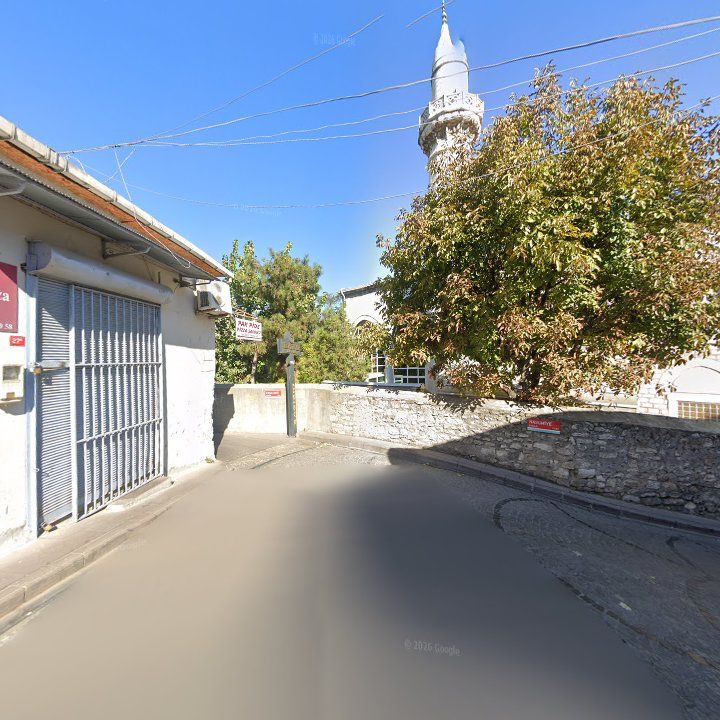 Fotoğraf 11