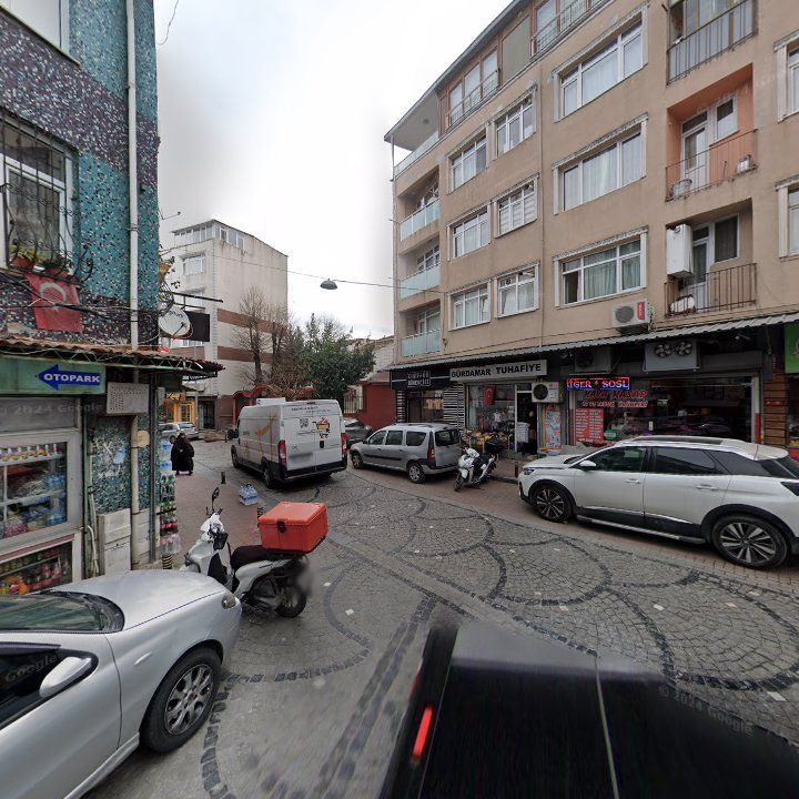 Fotoğraf 10