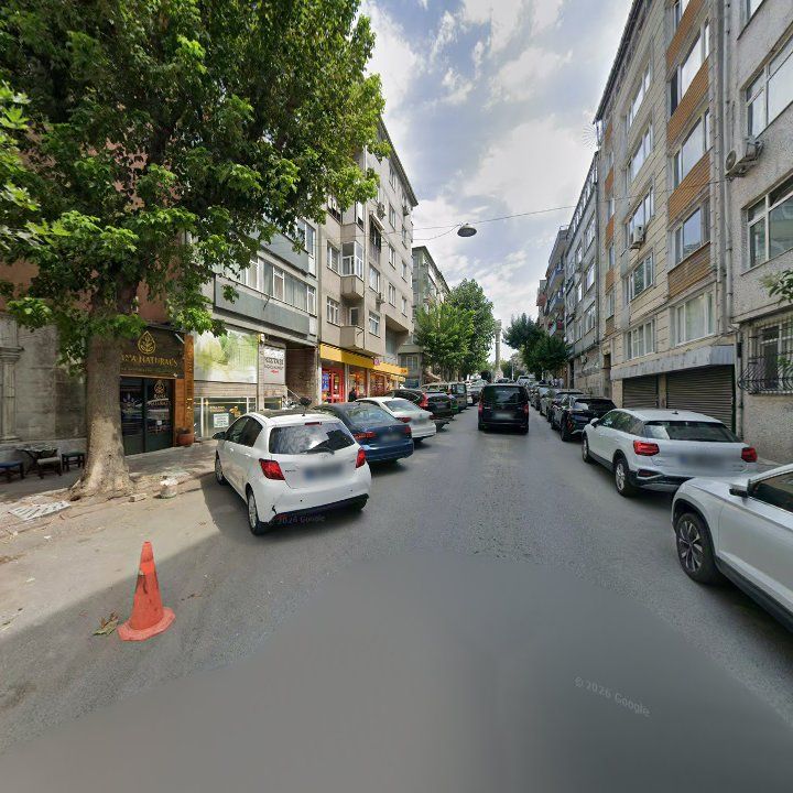 Fotoğraf 12